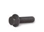 View Flange screw Full-Sized Product Image 1 of 6